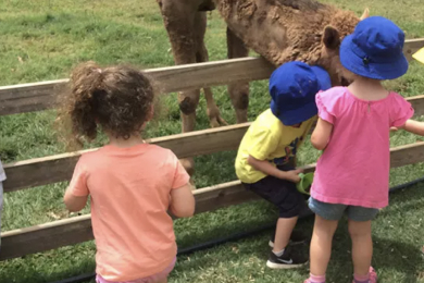 children outside petting a llama